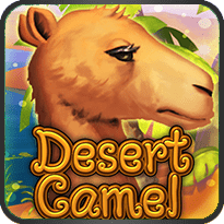 DESERT CAMEL